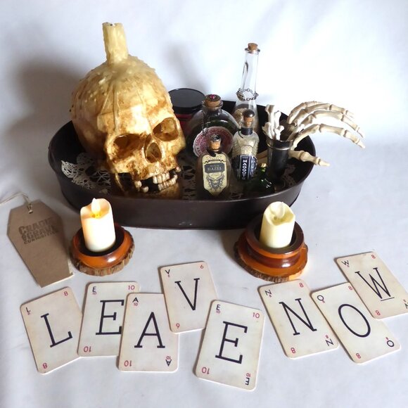 Cradle to Grave Curiosities Other - NEW HALLOWEEN GOTHIC HORROR TABLE CENTERPIECE APOTHECARY PROP ODDITY SKULL TRAY